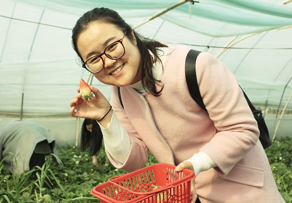 億誠建設(shè)三八婦女節(jié)摘草莓